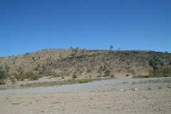 resized_IMG_0389