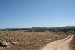 Sardegna2008__0029